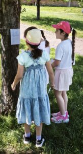 IMG_20260526_185357