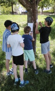 IMG_20260526_185414
