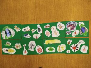 IMG_20260527_124139