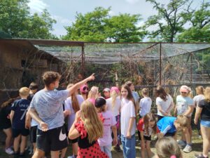 IMG_20260604_133857