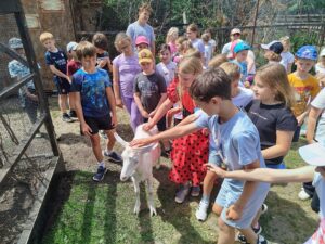 IMG_20260604_134003