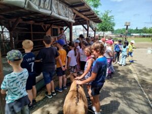 IMG_20260604_135654