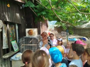 IMG_20260604_140416