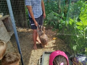 IMG_20260604_140613