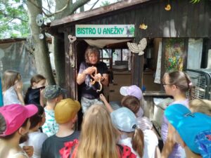 IMG_20260604_141117