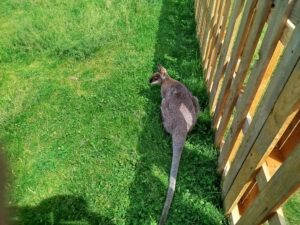 IMG_20260604_142052