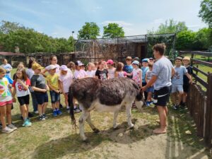 IMG_20260604_143022