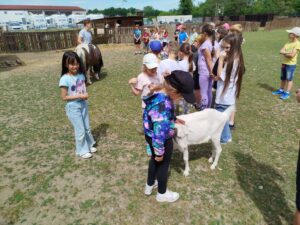 IMG_20260604_143356