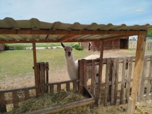 IMG_20260604_143429