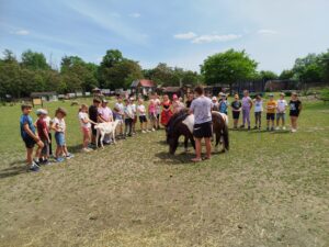 IMG_20260604_143531
