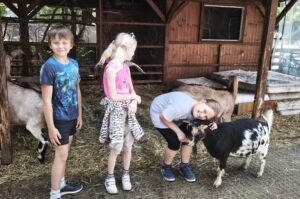 IMG_20260604_162842