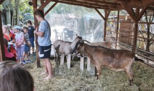 IMG_20260604_162949