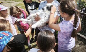 IMG_20260604_163005