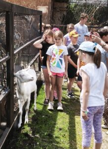 IMG_20260604_163214