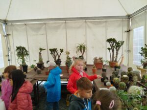 IMG_20260605_125124