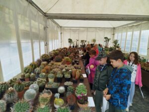 IMG_20260605_125142