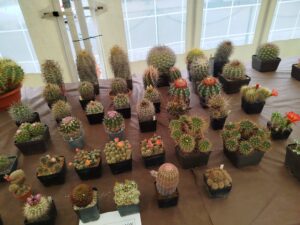 IMG_20260605_125240