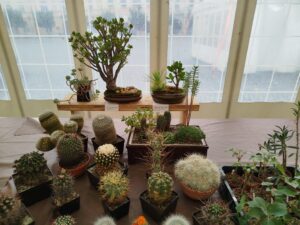 IMG_20260605_125252