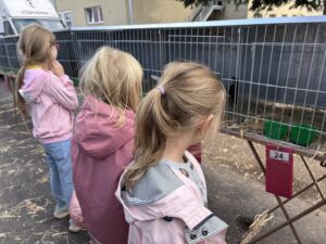 IMG_1611